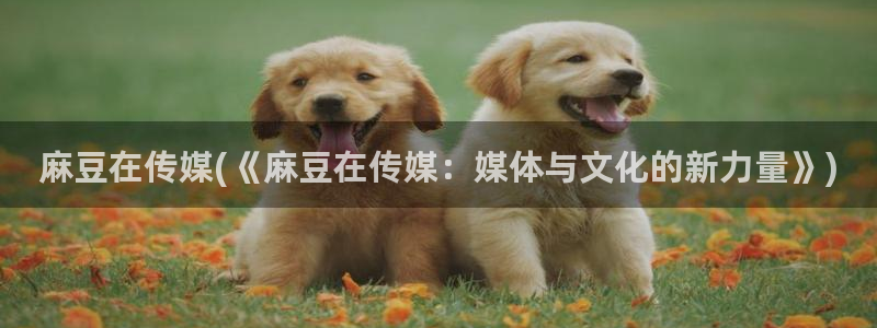 伊人久麻豆社区：麻豆在传媒(《麻豆在传媒：媒体与文化的新力量》)