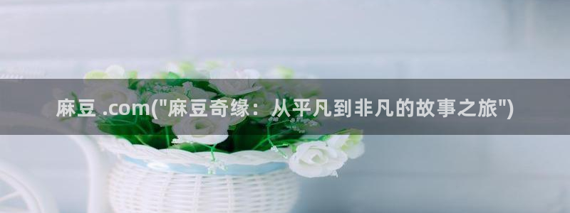 中文麻豆专区：麻豆 .com(\