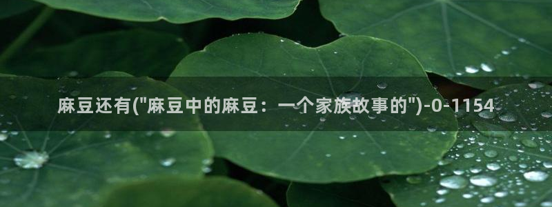 麻豆专区一：麻豆还有(\