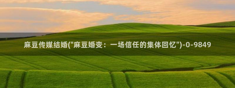 麻豆精品社区：麻豆传媒结婚(\