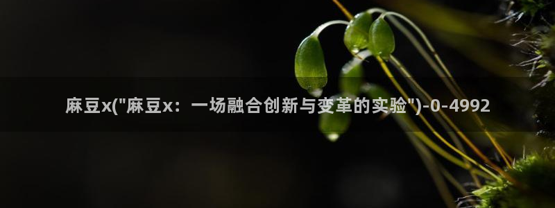 麻豆高清：麻豆x(\