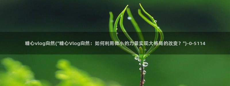 糖心vlog破解版无付费：糖心vlog向然(\