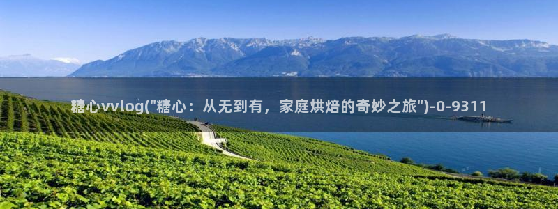 糖心vlog玩偶姐姐：糖心vvlog(\
