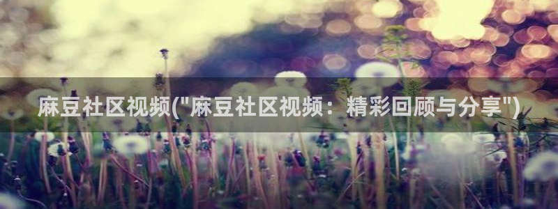 91麻豆专区：麻豆社区视频(\