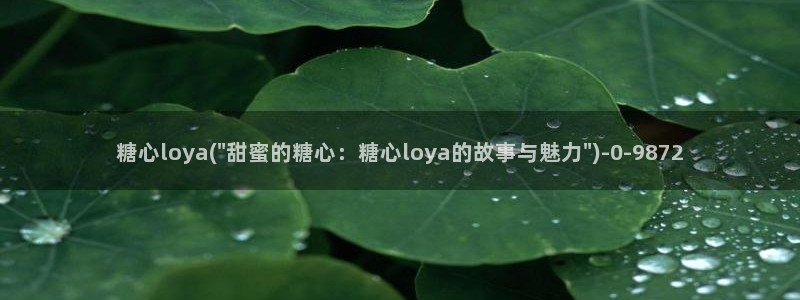 糖心vlog破解版app