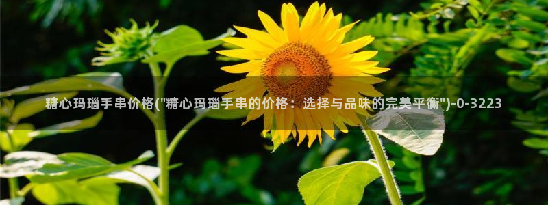 糖心vlog视频在线观看免费大全