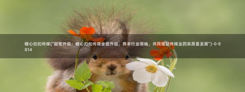 糖心vlog号：糖心扣扣传媒(\