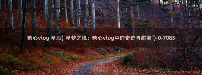 糖心vlog破译版：糖心vlog 星辰(\