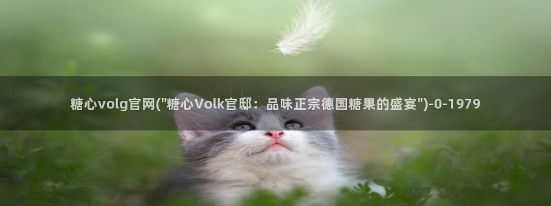 糖心视频vlog破解版下载